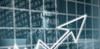 Gdzie może pracować ekonomista?