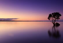 Co zanieczyszcza wodę?