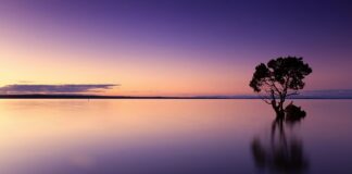 Co zanieczyszcza wodę?