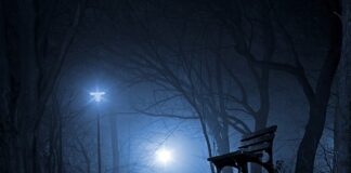 Jakie skarby kryje Polska ziemia?