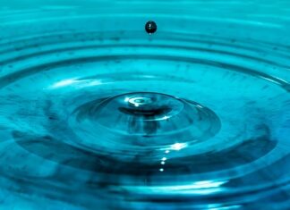 Co ma największy wpływ na stan naszego zdrowia?