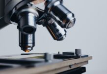 Ile jest celów zrównoważonego rozwoju wyznaczonych przez ONZ w 2030 r?