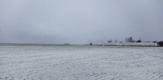 Jakie są formy oceniania?