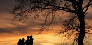 Co to jest podstawa programowa?