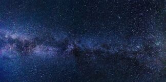 Czy warto robić darmowe kursy online?