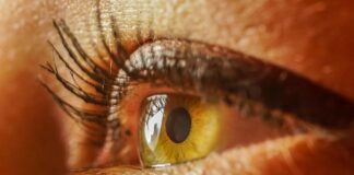 Co uczeń klasy II powinien umieć na koniec roku?