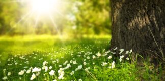 Jakie powinno być światło w biurze?