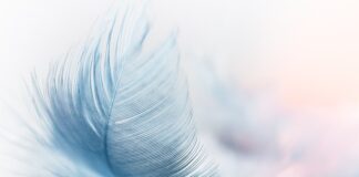 Jak zalogować się na platformę e learningową?