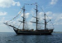 Co Polska eksportuje surowce?