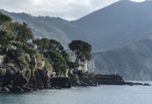 Ile kosztuje 10 jaj w Niemczech?