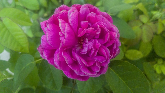 Jak ominąć ZUS? Jak ominąć ZUS?