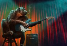 Które etapy kształcenia są w Polsce obowiązkowe?