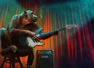 Które etapy kształcenia są w Polsce obowiązkowe?