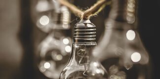 Czym nie jest ekologia?