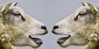 Jakie formy komunikacji internetowej są najbardziej popularne?