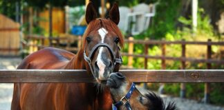 Czego brakuje w małych miejscowościach?