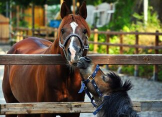 Czego brakuje w małych miejscowościach?