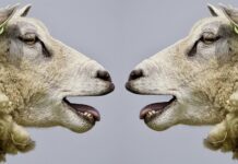 Dlaczego komunikacja jest ważna w pracy?