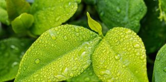 Jak być eko przykłady?