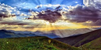 Dlaczego należy chronić środowisko naturalne?