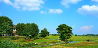 Co określa charakterystyka energetyczna budynku?