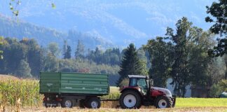 Czy studia z ekonomii są trudne?