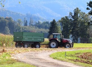 Czy studia z ekonomii są trudne?