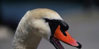 Jak skutecznie zarządzać sobą w czasie?