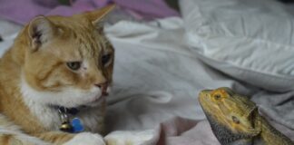 Jak rozmawiać żeby się dogadać?