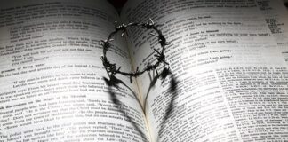 Co sprzyja dobrej współpracy w zespole?