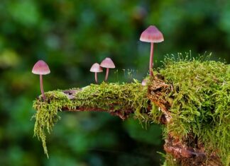 Jakie są rodzaje komunikacji?