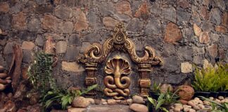 Jak oszukać mózg gadzi?