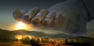 Co jeść żeby mieć siłę?