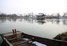 Jaką działalność otworzyć z dotacji?