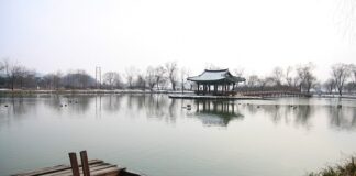 Jaką działalność otworzyć z dotacji?