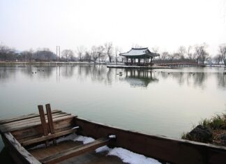 Jaką działalność otworzyć z dotacji?