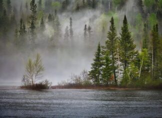 Jak człowiek wpływa na ekosystem?