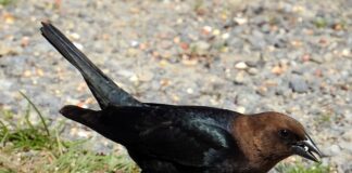 Gdzie jest najgorszy system edukacji?