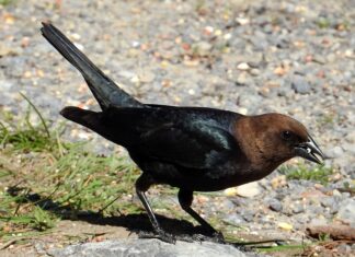 Gdzie jest najgorszy system edukacji?