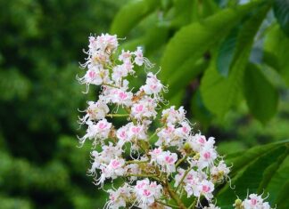 Czy matura 2024 będzie trudniejsza?