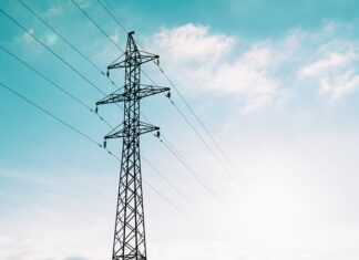 Co kupują Polacy w Niemczech?