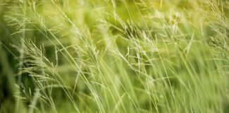 Jak dziecko może być eko?