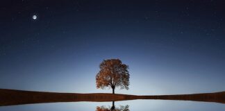 Co do picia po wymiotach?