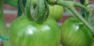 Jak udowodnić niedojrzałość emocjonalna?