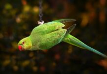 Na czym polega dostosowanie wymagań edukacyjnych u uczniów ze specjalnymi potrzebami edukacyjnymi?