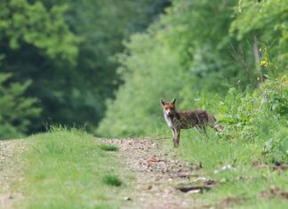 Co to ekosystem krótko?