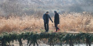 Co zrobić żeby nie chodzić na WF?