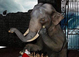 Jak skupić się tylko na sobie?