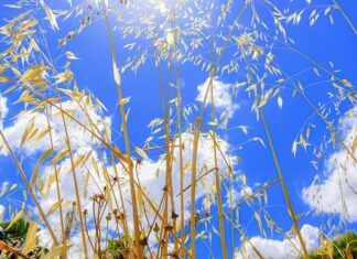 Jak przestać przeglądać Internet?