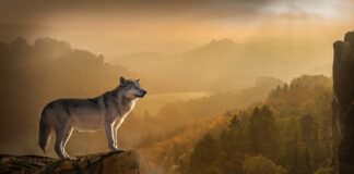 Jakie czynności wykonuje się na etapie tworzenia koncepcji ergonomicznych?